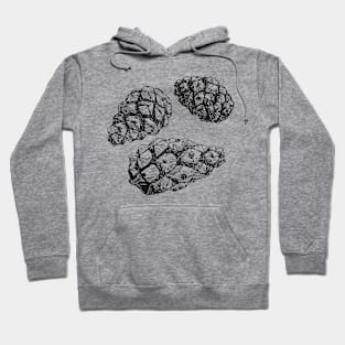 Pine cones Hoodie